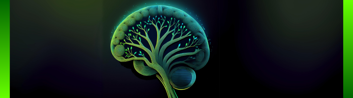 AI Blueprint for Aotearoa Unveiled: A Vision for Responsible Innovation